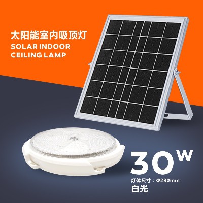 30W White Light