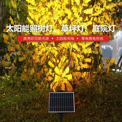 Solar integrated lawn light