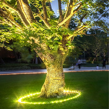 Solar powered tree hugging lamp