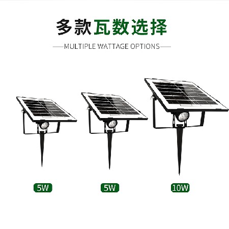 Solar integrated lawn light