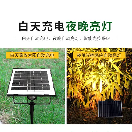 Solar integrated lawn light